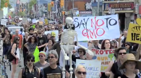 Issue Video: thousands march against Monsanto 