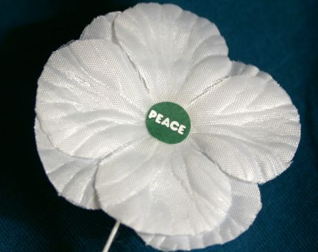 Issue On November 11 wear a white poppy instead