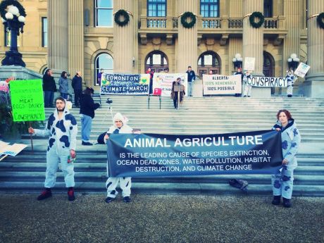 Issue 'Cowspiracy' isn't causing the climate crisis, capitalism is