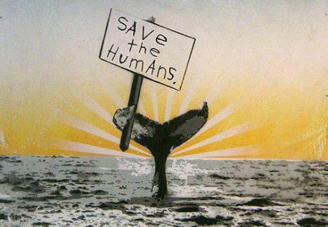 Issue Endangered fish, endangered humans