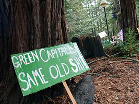 Issue BC Greens: open for business