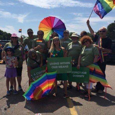 Issue Plan of Green fables