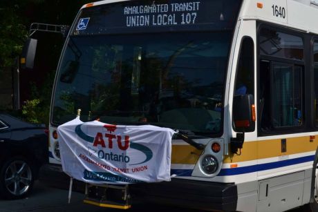 Issue Hamilton Transit driver on coping with COVID-19