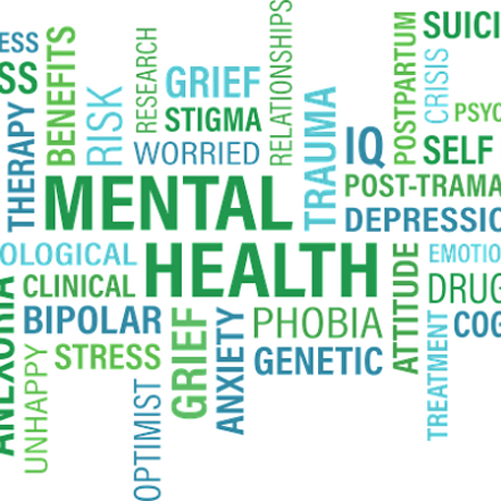 Issue Disability and Police Violence in Pandemic Times