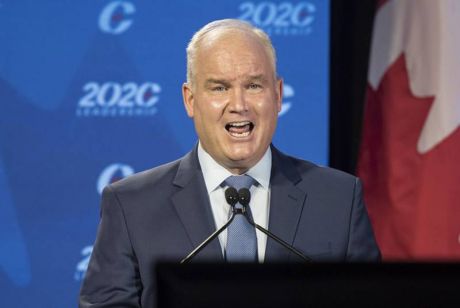 Issue Surprise, the Conservatives elected a tool