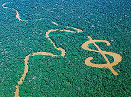 Issue It's capitalism, not overpopulation, that's driving ecological destruction