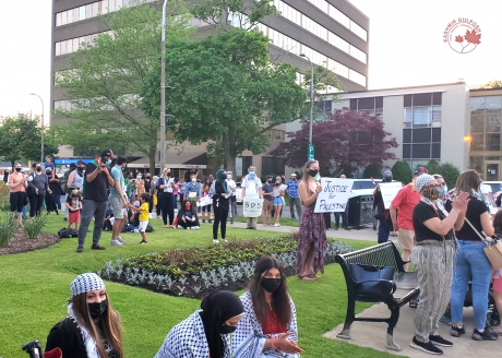 Issue Turtle Island to Palestine – Colonialism is a crime