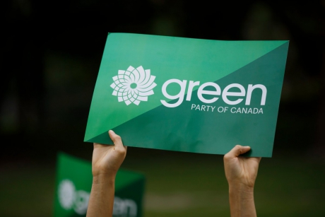 Issue Greens eat themselves (Updated June 22)