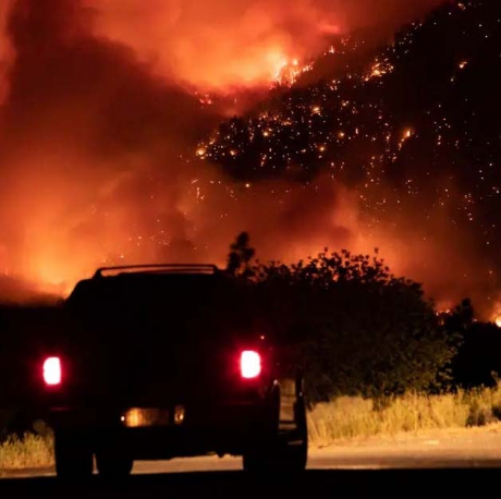 Issue Charge BC Premier Horgan with murder