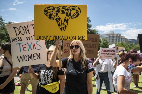 Issue The Fight for Reproductive Justice in Texas
