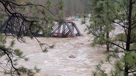 Issue Trudeau, Horgan fiddle while BC drowns