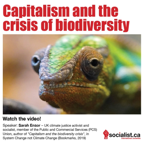Issue Capitalism and the crisis of biodiversity