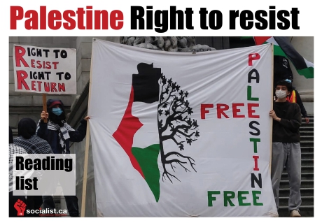 Issue Palestine - right to resist reading list