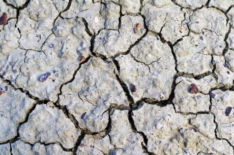 Issue Alberta - crisis of fire and drought