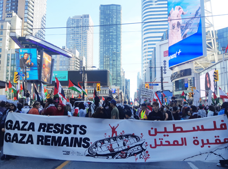 Issue The ceasefire agreement and the fight for a free Palestine