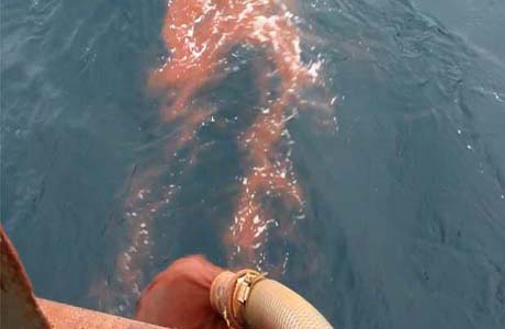 Issue Dodo Harper abets 'oceans fertilization' crimes