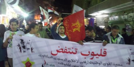 Issue Statement of the Revolutionary Socialists (Egypt): You shall not pass your constitution