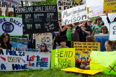 Issue Taking on Marineland