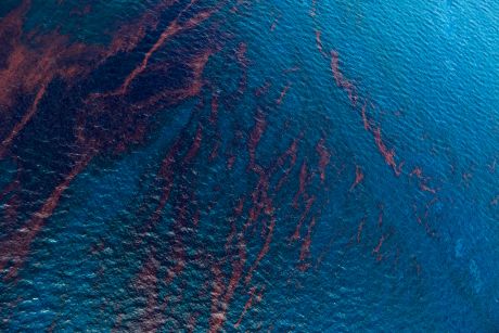 Issue Don't trust BC Liberal opposition to Northern Gateway pipeline